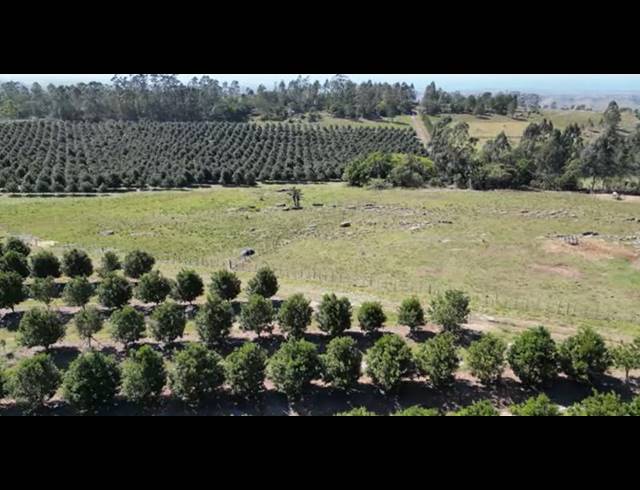 FARM FOR SALE IN PADDOCK